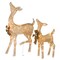 National Tree Company Pre-Lit Reindeer Set, Fawn, Doe, Warm White LED Lights, 38 inch, 28 inch, Indoor or Outdoor Use.